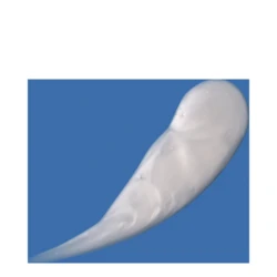 DCL Dermatologic Alpha Beta Gel Exfoliant 5 DCL Dermatologic Alpha Beta Gel Exfoliant - Image 3