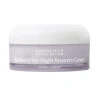 Eminence Organics Blueberry Soy Night Recovery Cream -Nursing Store Blueberry Soy Night Recovery Cream 6544 1598 detail